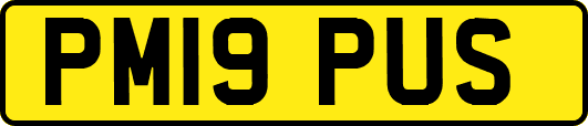 PM19PUS