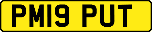 PM19PUT