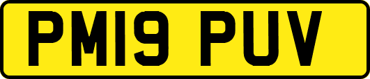 PM19PUV