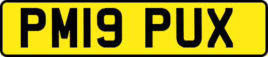 PM19PUX