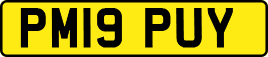 PM19PUY