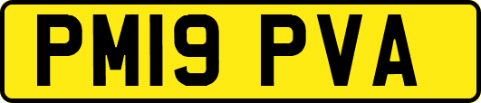 PM19PVA