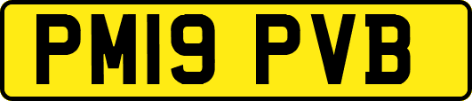 PM19PVB