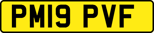 PM19PVF