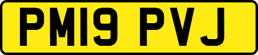 PM19PVJ