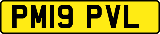 PM19PVL