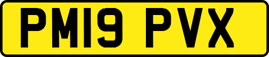 PM19PVX