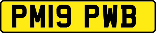 PM19PWB