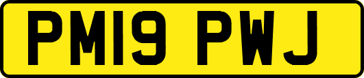 PM19PWJ