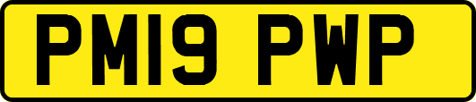 PM19PWP