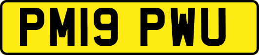 PM19PWU