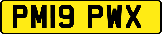 PM19PWX