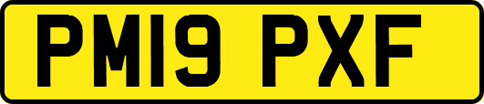 PM19PXF