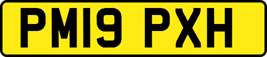 PM19PXH