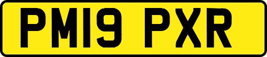 PM19PXR