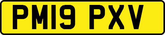 PM19PXV