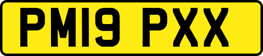 PM19PXX