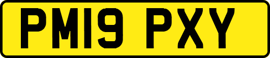 PM19PXY