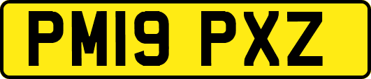 PM19PXZ