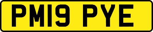 PM19PYE