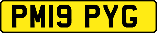 PM19PYG