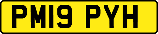 PM19PYH