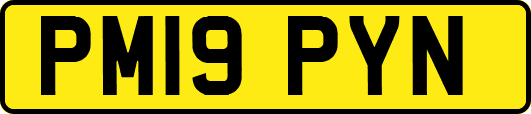 PM19PYN