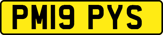 PM19PYS