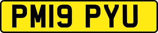 PM19PYU