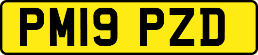 PM19PZD