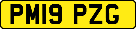 PM19PZG