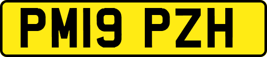 PM19PZH