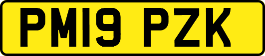 PM19PZK