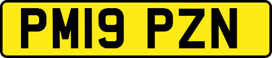 PM19PZN