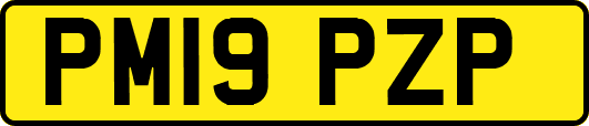 PM19PZP