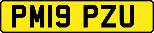 PM19PZU