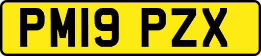 PM19PZX