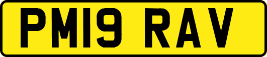 PM19RAV