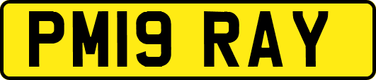 PM19RAY