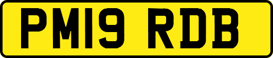 PM19RDB