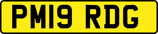 PM19RDG