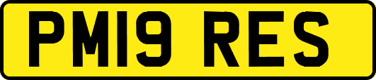 PM19RES