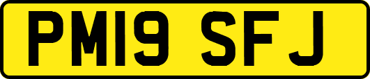 PM19SFJ