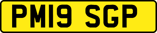 PM19SGP