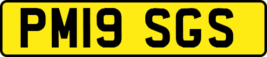 PM19SGS