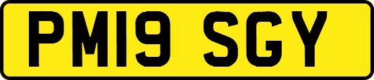 PM19SGY