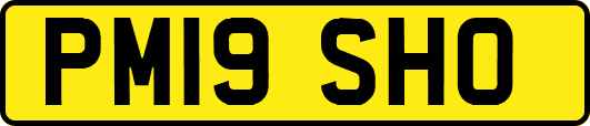 PM19SHO