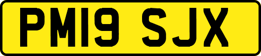 PM19SJX