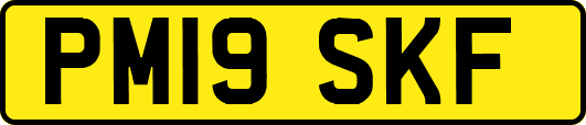 PM19SKF