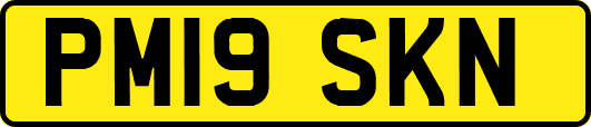 PM19SKN